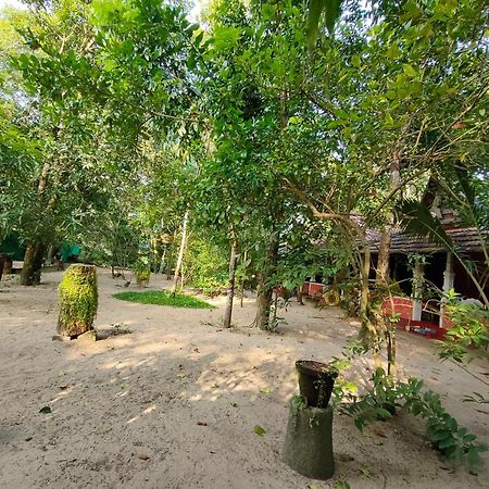 Abba Marari Beach Villas & Homestay Mararikulam アーラップーザ県 エクステリア 写真