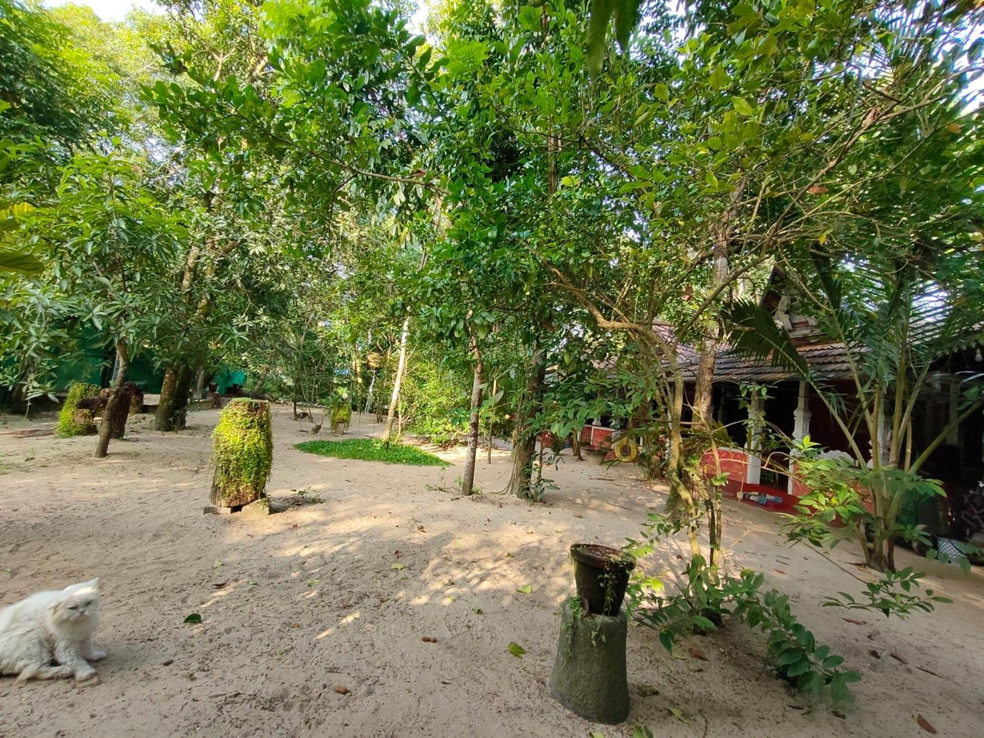 Abba Marari Beach Villas & Homestay Mararikulam アーラップーザ県 エクステリア 写真
